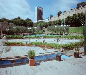 oran 036